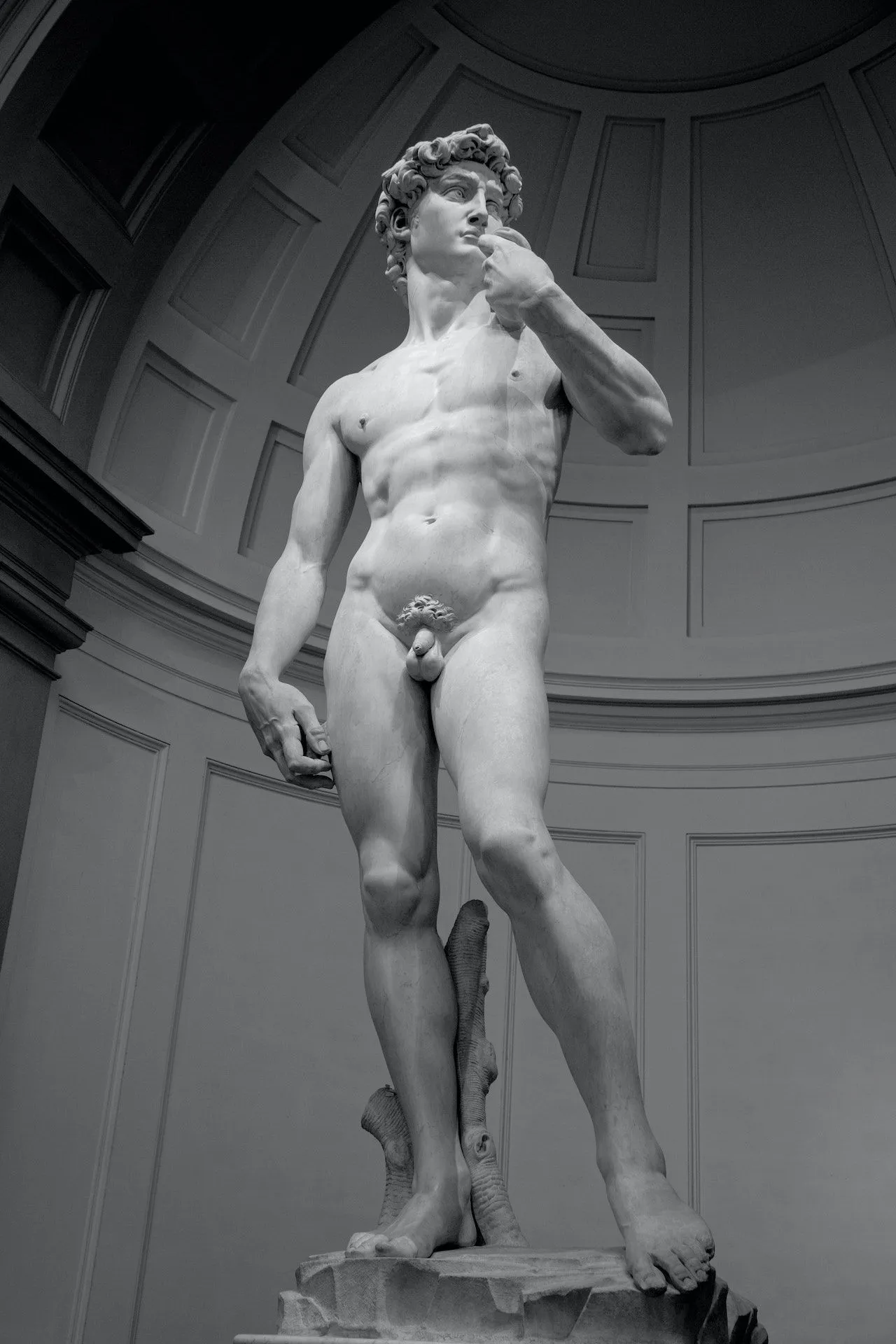 Il dragone magico